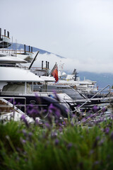 Ships Docked at Harbor
