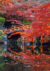 Daigoji Temple with beautiful foliage in autumn in Kyoto, Japan