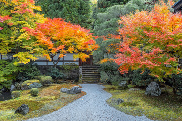 Sennyuji Temple with beautiful foliage in autumn in Kyoto, Japan