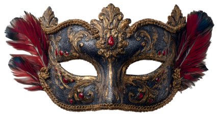 Creepy carnival mask with feathers, isolated on white background