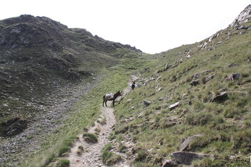 Obraz premium hiking in the mountains