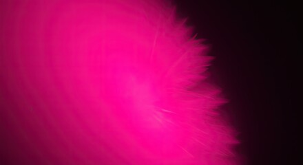 Vibrant Pink Burst on Dark Background Abstract Art