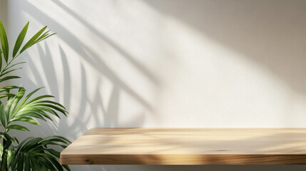 Sunlit Room with a Plant Casting a Shadow on the Wall