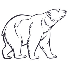 Minimal Line Bear
