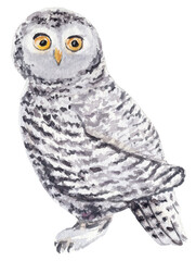 Watercolor clipart of a snowy owl, hand-painted. Perfect for holiday cards, winter designs, invitations, patterns, and festive decorations.