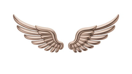 dove with wings