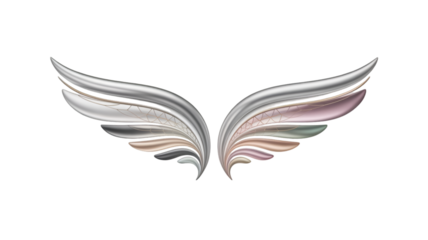 wings of the book