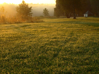 Obraz premium sunrise landscape by the lake, calm and quiet morning, morning dew on the meadow, autumn vegetation