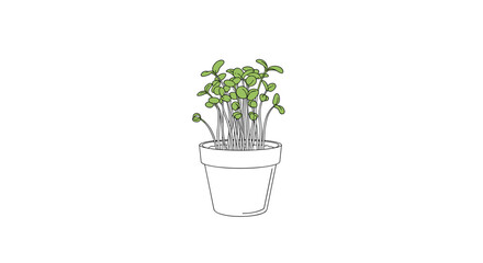 Fototapeta premium Beautiful green potted plant with lush foliage thriving in a simple ceramic planter on a white background creating a clean and natural aesthetic for your home decor projects
