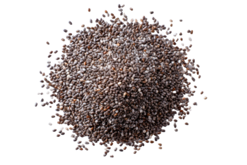 A close-up of a pile of dark gray seeds.?The seeds are small and numerous,?forming a?rounded mound.?A?blurred?halo of the same seeds surrounds the central pile against a black background