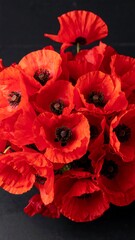 Close-up of vibrant red poppies