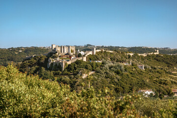 Fototapeta premium Drone view of the medieval Óbidos Castle surrounded by lush greenery and trees in central Portugal, showing the walled town and rural landscape.