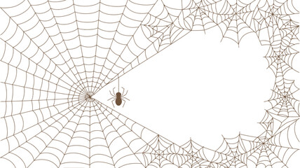 A spider web with a spider hanging from it on a white background with multiple webs on the corners