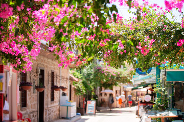 Fototapeta premium Vibrant street filled with blooming bougainvillea in a quaint coastal village on a sunny day