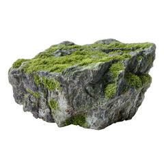 Moss-covered rock, roughly shaped, light gray, and green