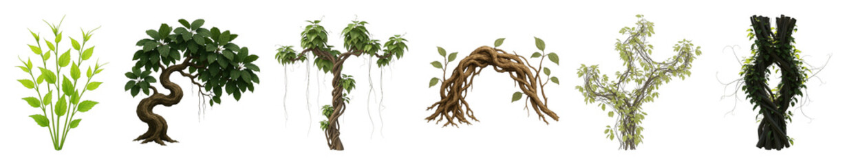 Nature plant element set including leafy bushes, twisted trees, hanging vines, and root arches isolated. Organic design resources.