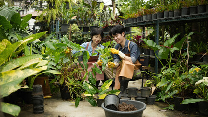 Family owned SME plant shop with teamwork, care, and passion for sustainable gardening