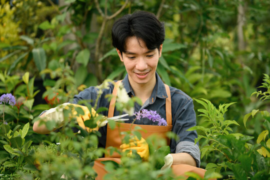 A Smiling plant shop owner carefully trimming purple flowers in a lush green garden