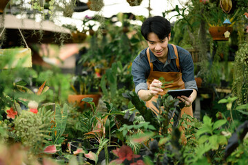 Young Asian botanist using tablet to record plant growth in a greenhouse