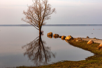 landscape with Burtnieki Lake, calm water of the lake with reflections, fragments of natural objects, Burtnieki Lake, Valmiera Region, Latvia