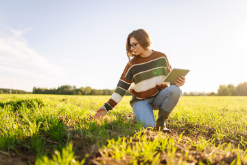 Young female farmer with digital tablet in green agricultural field in sun. Female agronomist in field with green sprouts checks the growth and quality of the crop. Farming and technology concept.