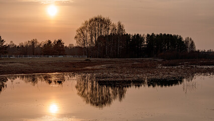 landscape with Burtnieki Lake, calm water of the lake with reflections, fragments of natural objects, Burtnieki Lake, Valmiera Region, Latvia