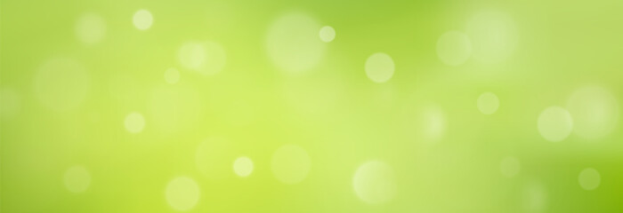 Fototapeta premium Green Summer Backdrop with Soft Blur and Light Effect. Fresh Natural Abstract Overlay with Glowing Circles and Sunlight Particles for Seasonal or Eco Design Projects 