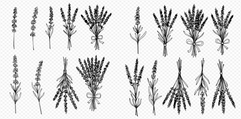 Collection of hand-drawn lavender sprigs and bouquets, various arrangements. © Lunara Arts