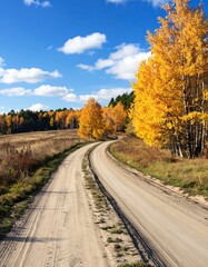 Obraz premium Autumn country road (1)