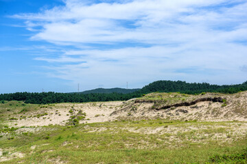 The curious sand dune and green field.