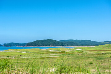 The curious sand dune and green field.