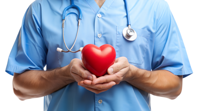 Doctor's Hands Gently Holding Red Heart; Compassionate Healthcare Concept; Medical Stock Photo