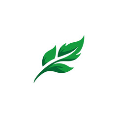Fototapeta premium green leaf isolated on white
