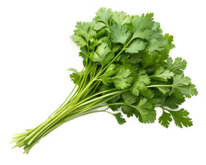 bunch of fresh parsley