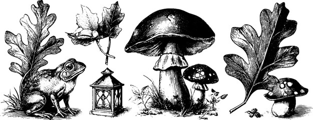 Enchanted forest tales in vintage engraving style