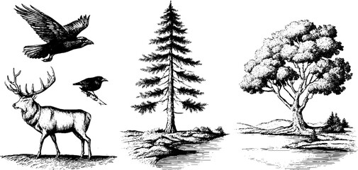 Nordic nature landscape with wildlife and trees in vintage engraving style