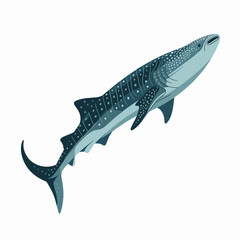 Obraz premium Whale Shark Swimming Illustration