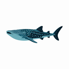 Fototapeta premium Whale Shark Swimming Illustration