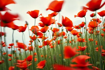 Obraz premium Dynamic image of red poppies in motion blur, highlighting vivid petals and green stems with a soft natural background. 