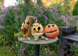 view of old Halloween pumpkins in the garden, scary Jack O Lantern Halloween pumpkins, ugly pumpkins after the holidays