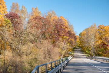 gorgeous autumn landscape with bright and colorful trees, typical Latvian golden autumn landscape