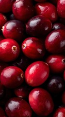 Close-up macro of ripe cranberries, rich glossy red surface, plump round shapes filling the entire frame