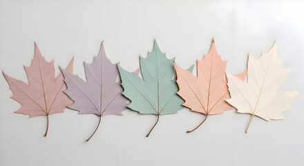Pastel Maple Leaves Arranged on White Background