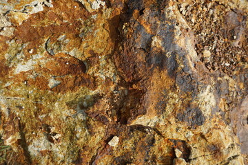 The surface of a rock from a mountain has a unique texture because it has a golden color like the...