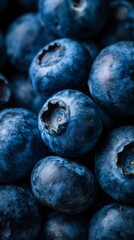 Fototapeta premium High-detail macro photograph of ripe blueberries, berries completely filling the frame, rich blue color