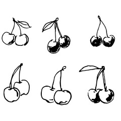 line art set of cherry. Hand drawn cherry icon collection
