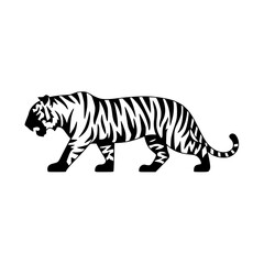 Majestic tiger prowling with powerful stride embodying strength and wild elegance