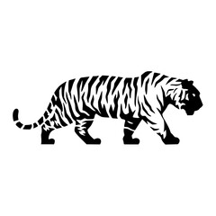 Majestic tiger prowling with bold black and white stripes a symbol of power and wild beauty