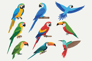 Vector illustration set of exotic tropical birds from the rainforest, featuring macaws, toucans, parakeets, and a hummingbird