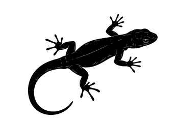 Naklejka premium A lizard with spread legs and tail, shown crawling in silhouette. 